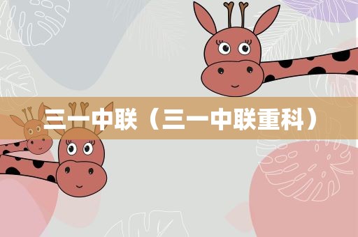 三一中联（三一中联重科）