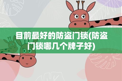 目前最好的防盗门锁(防盗门锁哪几个牌子好)