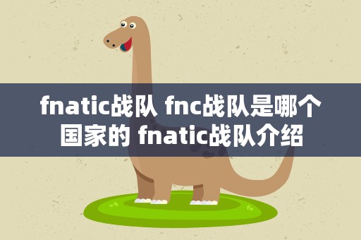 fnatic战队 fnc战队是哪个国家的 fnatic战队介绍