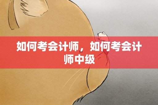 如何考会计师，如何考会计师中级