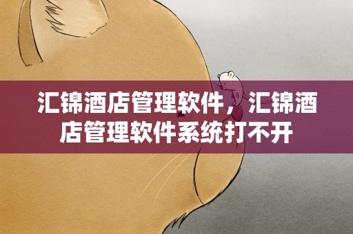 汇锦酒店管理软件，汇锦酒店管理软件系统打不开