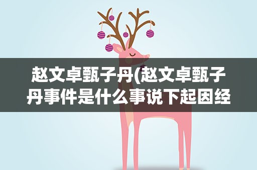 赵文卓甄子丹(赵文卓甄子丹事件是什么事说下起因经过。)