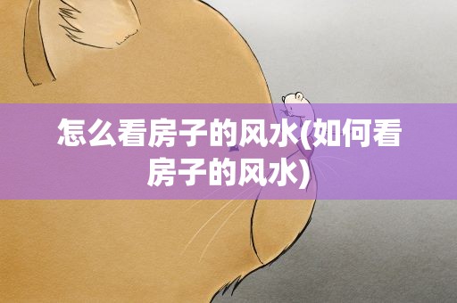怎么看房子的风水(如何看房子的风水)