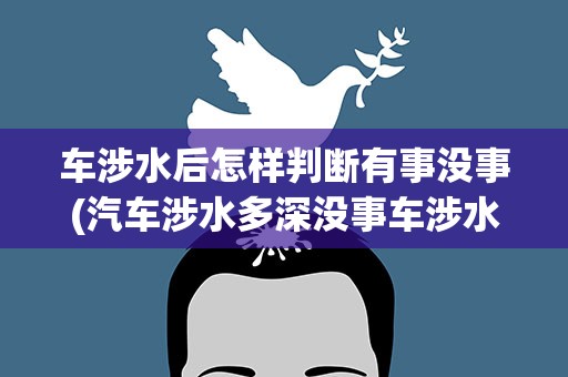 车涉水后怎样判断有事没事(汽车涉水多深没事车涉水后怎样判断有事没事)