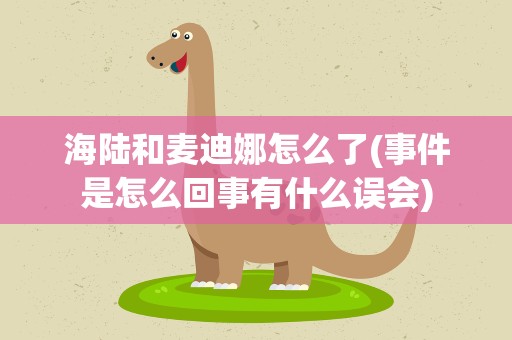 海陆和麦迪娜怎么了(事件是怎么回事有什么误会)