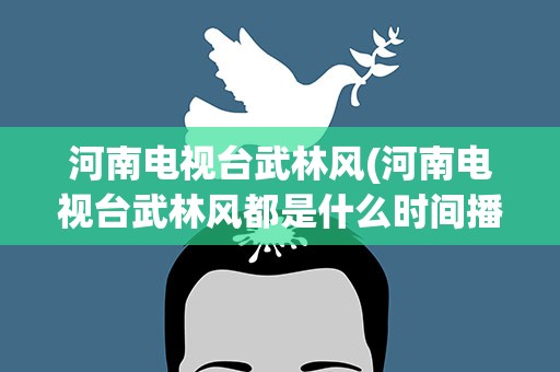 河南电视台武林风(河南电视台武林风都是什么时间播放)