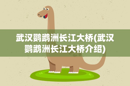 武汉鹦鹉洲长江大桥(武汉鹦鹉洲长江大桥介绍)