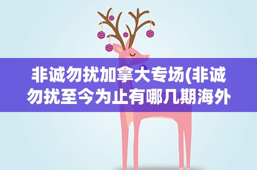 非诚勿扰加拿大专场(非诚勿扰至今为止有哪几期海外专场)