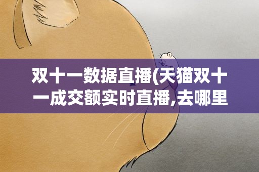 双十一数据直播(天猫双十一成交额实时直播,去哪里看,请大佬们分享一下)