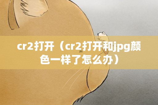 cr2打开（cr2打开和jpg颜色一样了怎么办）