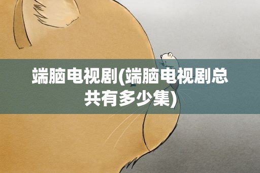 端脑电视剧(端脑电视剧总共有多少集)