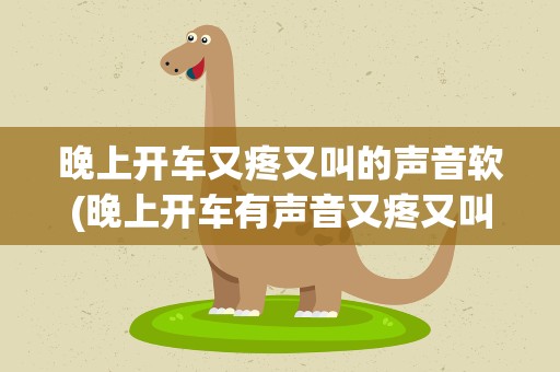 晚上开车又疼又叫的声音软(晚上开车有声音又疼又叫)