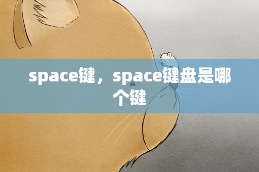 space键，space键盘是哪个键