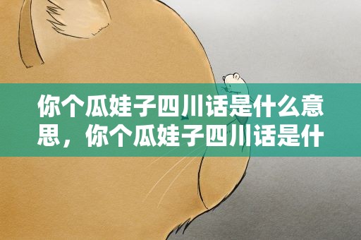 你个瓜娃子四川话是什么意思，你个瓜娃子四川话是什么意思的意思