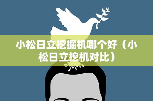 小松日立挖掘机哪个好（小松日立挖机对比）