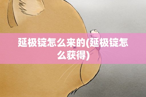 延极锭怎么来的(延极锭怎么获得)