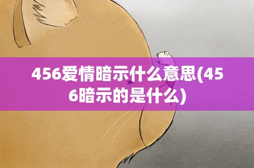 456爱情暗示什么意思(456暗示的是什么)