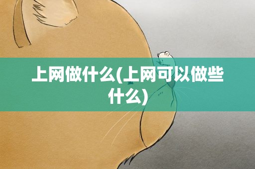 上网做什么(上网可以做些什么)