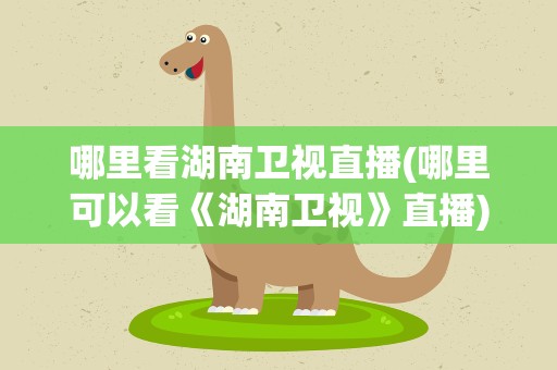 哪里看湖南卫视直播(哪里可以看《湖南卫视》直播)