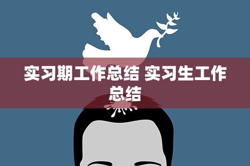 实习期工作总结 实习生工作总结
