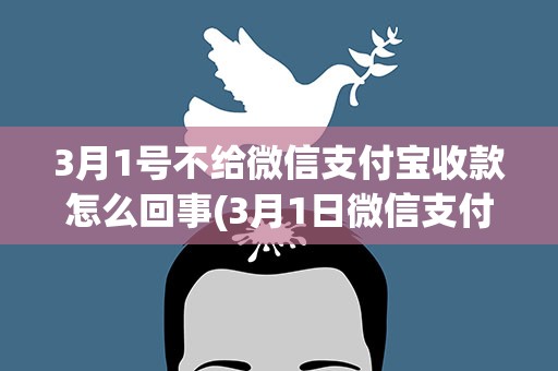 3月1号不给微信支付宝收款怎么回事(3月1日微信支付宝不能收款)