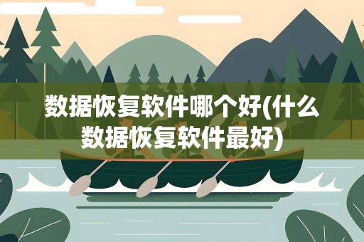 数据恢复软件哪个好(什么数据恢复软件最好)