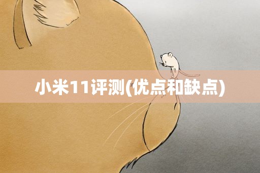 小米11评测(优点和缺点)