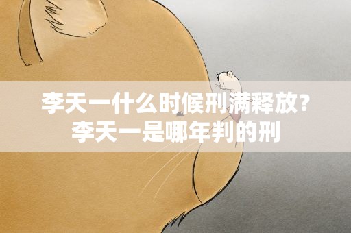 李天一什么时候刑满释放？李天一是哪年判的刑