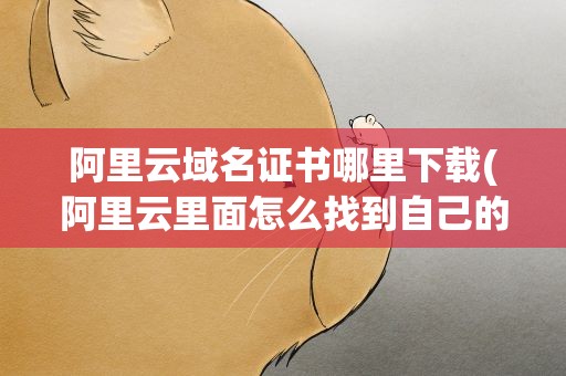 阿里云域名证书哪里下载(阿里云里面怎么找到自己的域名证书)