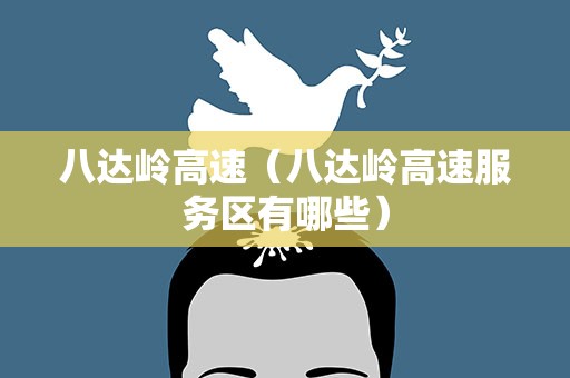 八达岭高速（八达岭高速服务区有哪些）