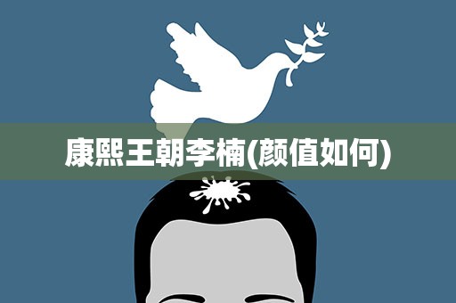 康熙王朝李楠(颜值如何)