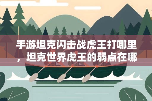 手游坦克闪击战虎王打哪里，坦克世界虎王的弱点在哪