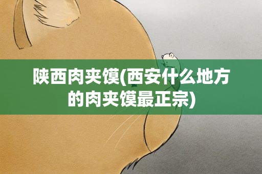 陕西肉夹馍(西安什么地方的肉夹馍最正宗)
