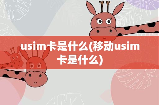 usim卡是什么(移动usim卡是什么)