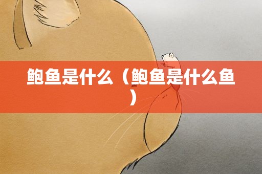 鲍鱼是什么（鲍鱼是什么鱼）