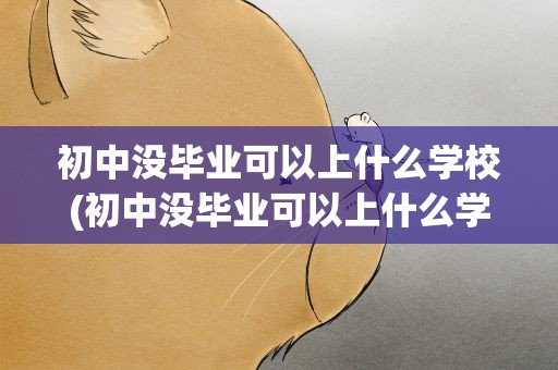 初中没毕业可以上什么学校(初中没毕业可以上什么学校女的)