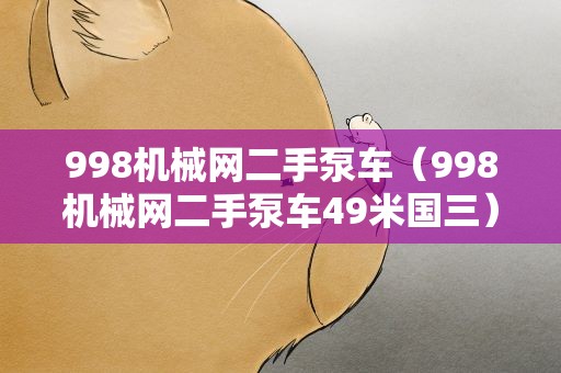 998机械网二手泵车（998机械网二手泵车49米国三）