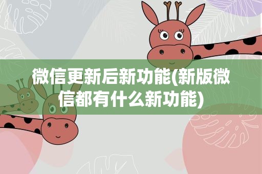 微信更新后新功能(新版微信都有什么新功能)