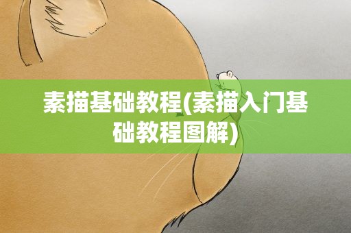 素描基础教程(素描入门基础教程图解)
