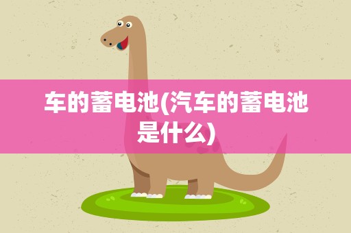 车的蓄电池(汽车的蓄电池是什么)