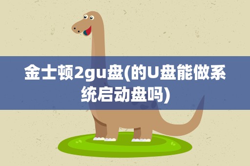 金士顿2gu盘(的U盘能做系统启动盘吗)
