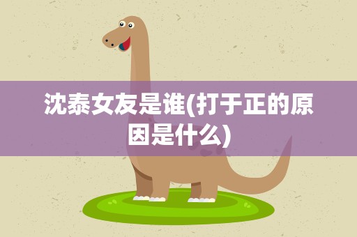 沈泰女友是谁(打于正的原因是什么)