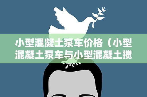 小型混凝土泵车价格（小型混凝土泵车与小型混凝土搅拌车价格）