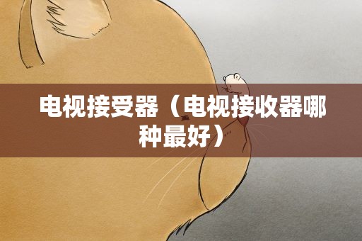 电视接受器（电视接收器哪种最好）