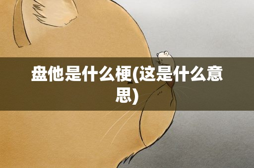 盘他是什么梗(这是什么意思)