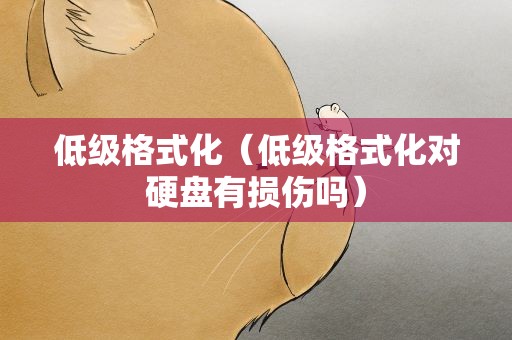 低级格式化（低级格式化对硬盘有损伤吗）