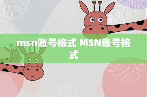 msn账号格式 MSN账号格式