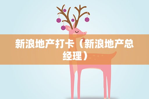 新浪地产打卡（新浪地产总经理）