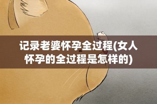 记录老婆怀孕全过程(女人怀孕的全过程是怎样的)