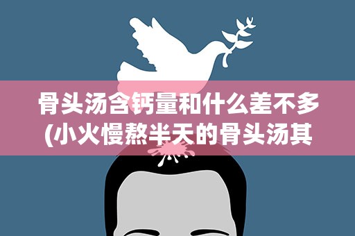 骨头汤含钙量和什么差不多(小火慢熬半天的骨头汤其中钙含量和什么差不多)